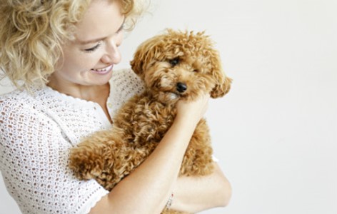 5 Common Questions New Puppy Parents Ask