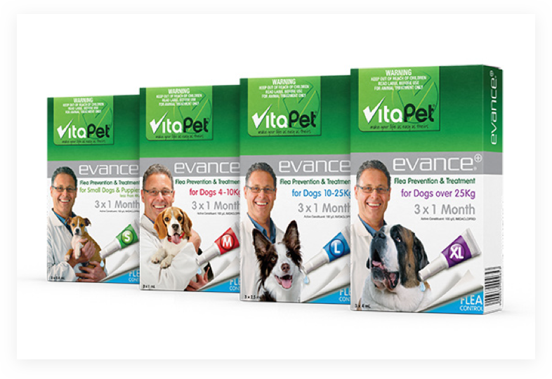 Fleas, Ticks and Worming