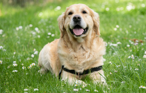 How to get the best results from your training sessions