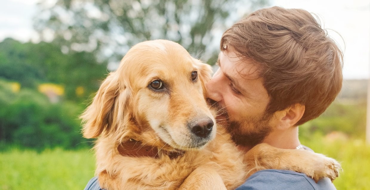 The Ultimate Guide to Pet Safety: Tips and Tools