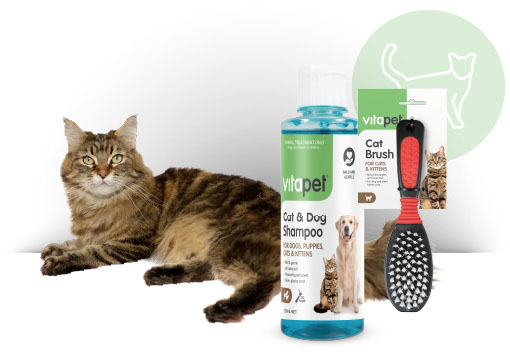 Can use dog shampoo on cats best sale