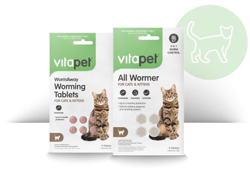 Kitten Worming