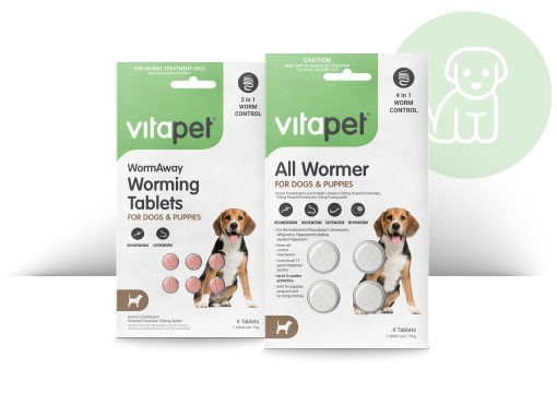 Puppy Worming
