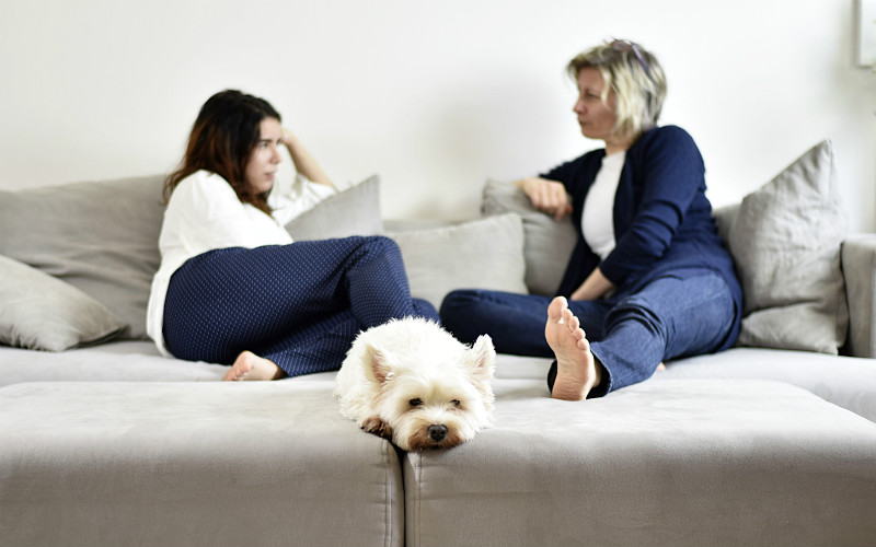 Pet Custody after a Breakup