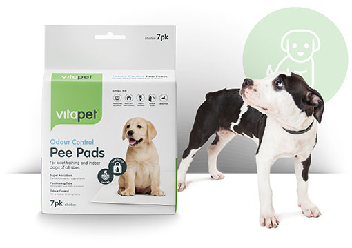 Vitapet on sale pee pads