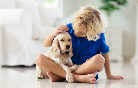 Complete Puppy Checklist