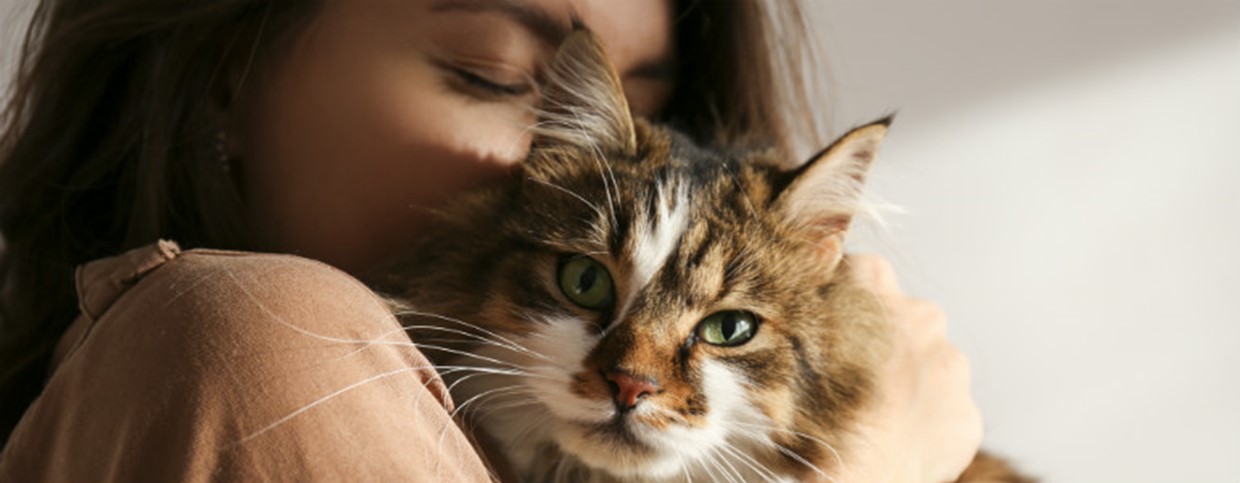 How you know you're a cat person...
