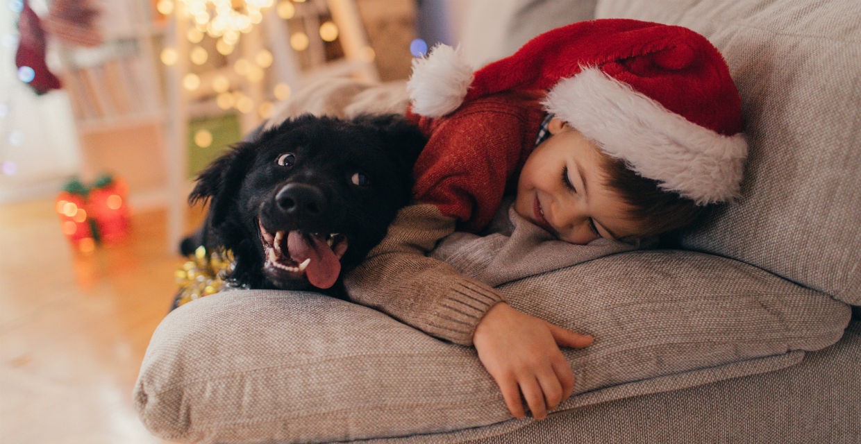 Dog Presents and Including your pup in Christmas