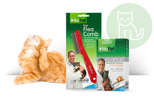 Kitten Flea Treatments