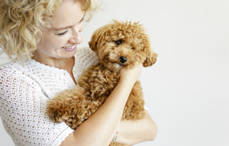 5 Common Questions New Puppy Parents Ask