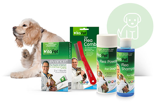 puppy flea treatment