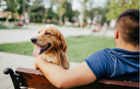 Signs your Dog has a Close Connection with You