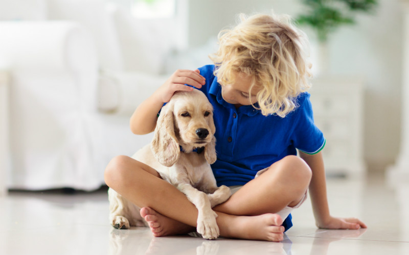 Welcome home, puppy! Top things to know