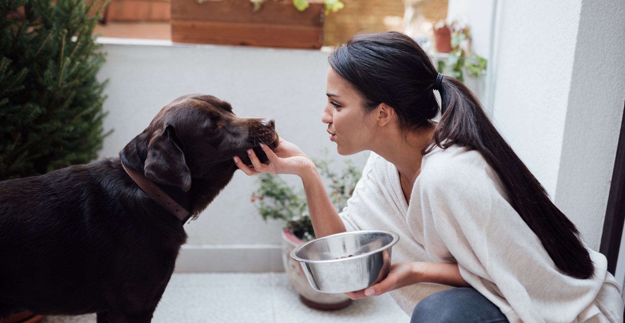 Mixed Feeding 1240X640