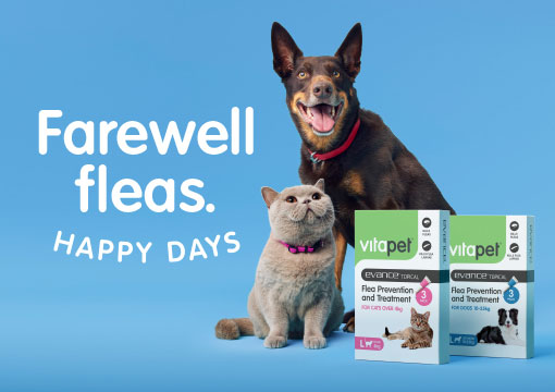 Here to help treat and protect your pet from fleas