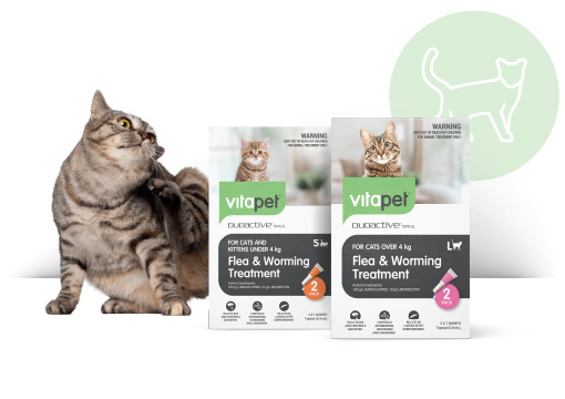 DUOACTIVE Flea & Worming Treatments for Cats
