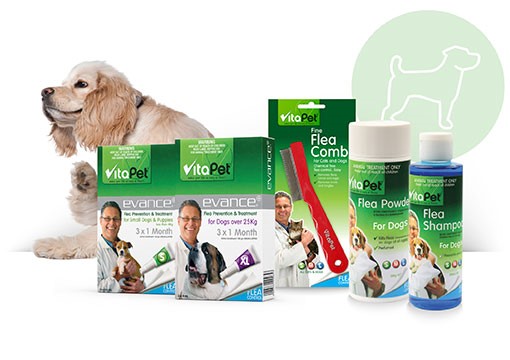 Flea Treatments for Dogs