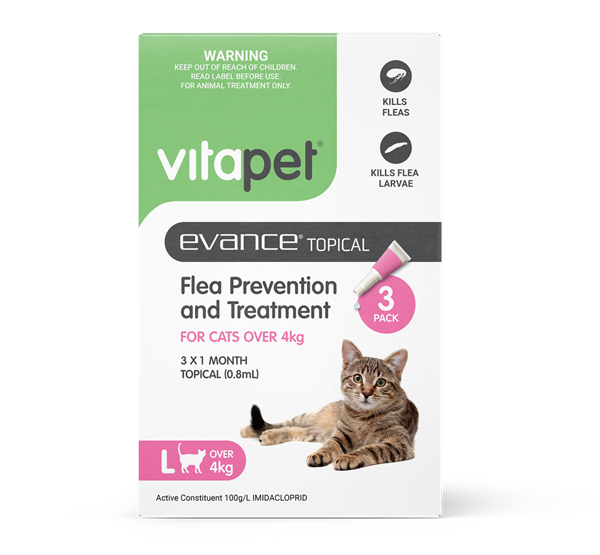 Flea Treatment for Cats - Evance - Large Cats