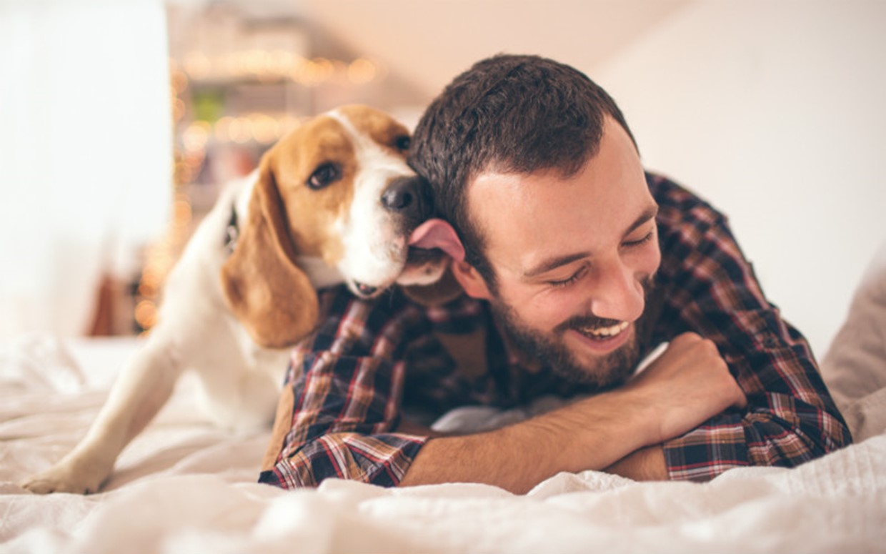 dog with owner