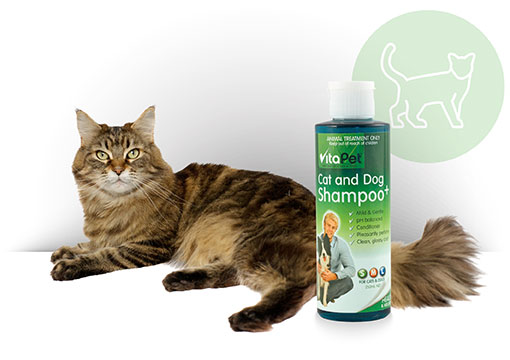 Cat grooming shampoo best sale