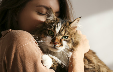 How you know you're a cat person...