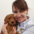 Dr Gretta Howard - Vet profile picture