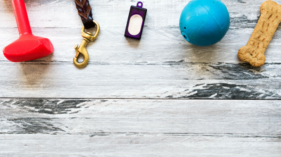 Clicker Training Your Dog