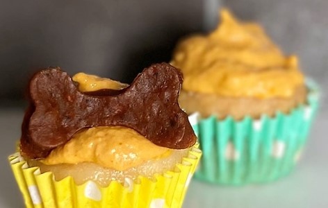 Dog Friendly Cupcake Recipe - Halloween Puppy Fun