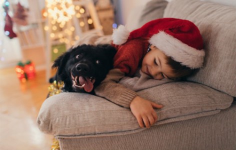 Dog Presents and Including your pup in Christmas