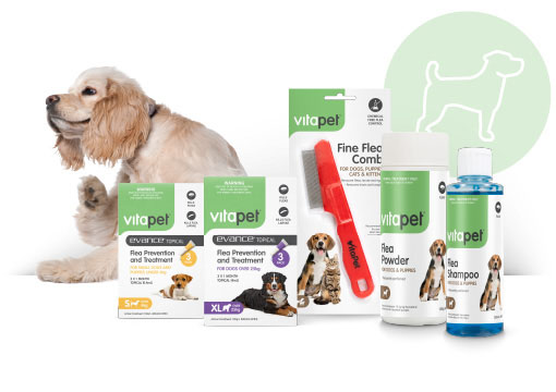 Natural orders ical flea treatment dogs