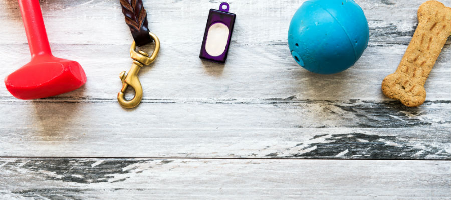 Clicker Training Your Dog