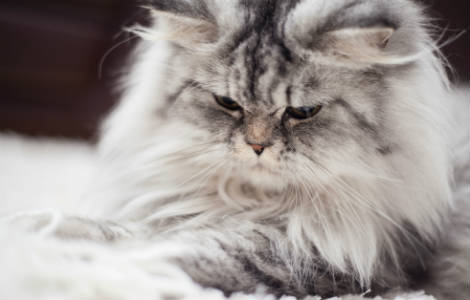 It’s time to hang up the winter overcoat.